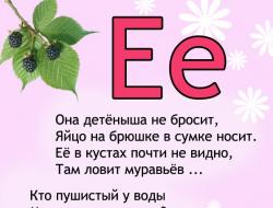 Цветок на букву е. Загадка про букву е. Загадки для детей на букву е. Растения на букву е.